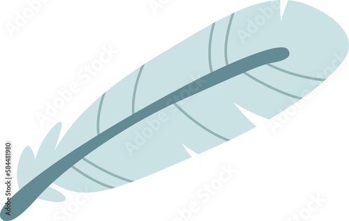 Flat Bird feather