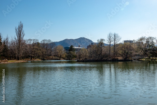 早春の中島公園菖蒲池（北海道札幌市）