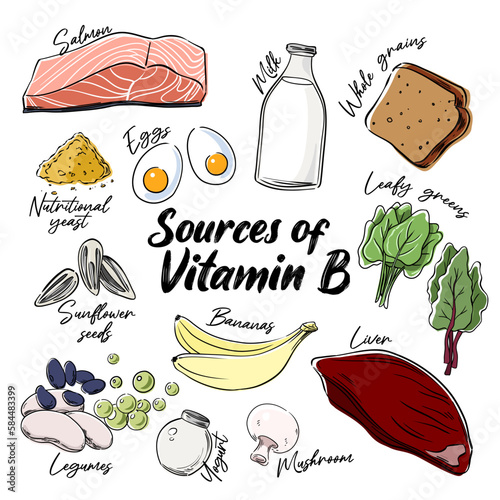 Vitamin B sources, vector illustration