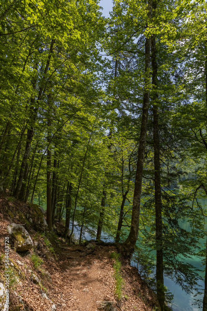 Alpine quiet mirror blue lake in the Italian Dolomites Lagi di Fusine
