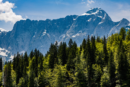 View of the italian alps dolomites and green forest © Vlad
