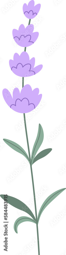 Lavender Flowers Brunch