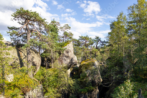 Rocks covered with trees, landscape high in the mountains