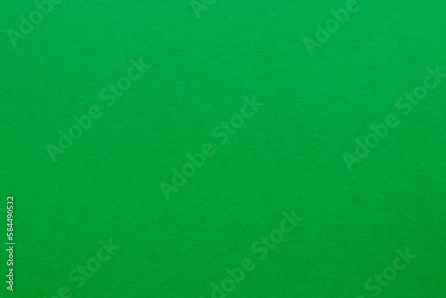 Forest green colored tinted paper texture swatch.
