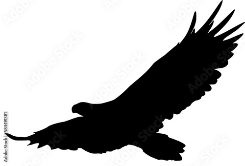 birds silhouette