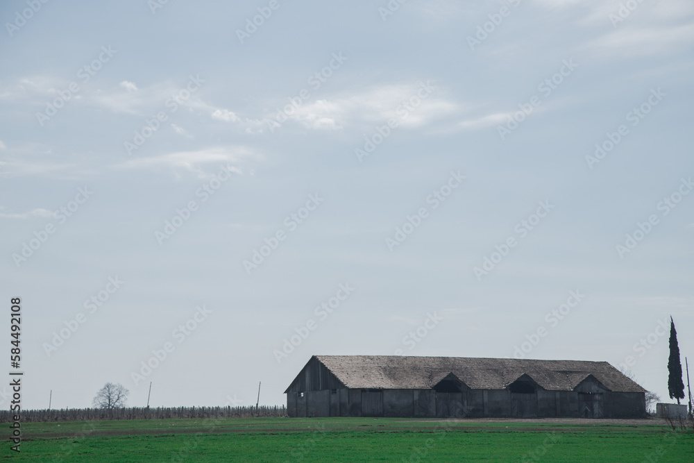 Obraz premium landscape with barn