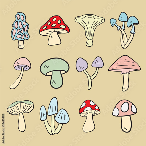 Mushroom drawing image for food or cooking concept