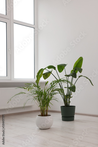 Empty renovated room with potted houseplants and windows