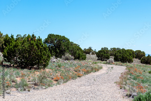 Landscape in the Bangs Canyon area above the Grand Valley in western Colorado