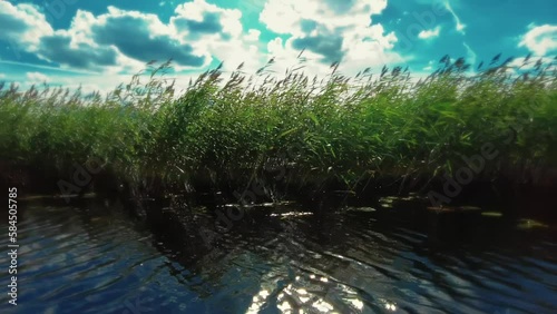Grass and sky