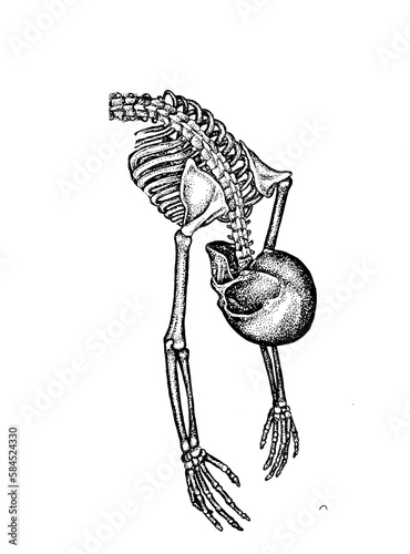 skeleton of human in pointillism black and white (ID: 584524330)