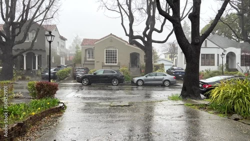 4K HD video of rain falling with high winds blowing loudly on residential driveway and street, tall gum trees blowing in the wind. 
