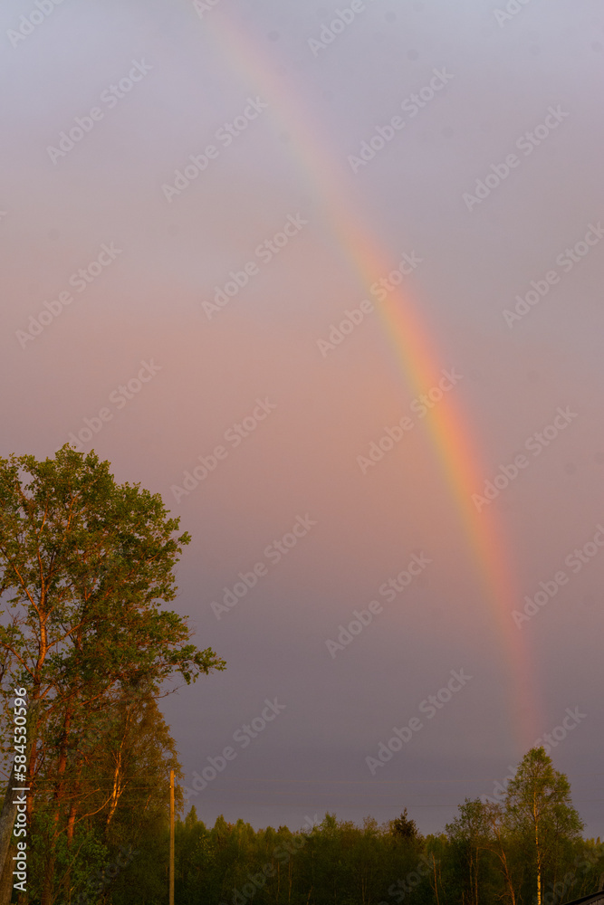 Beautiful summer landscape. The beauty of nature.There is a rainbow in the sky after the rain.