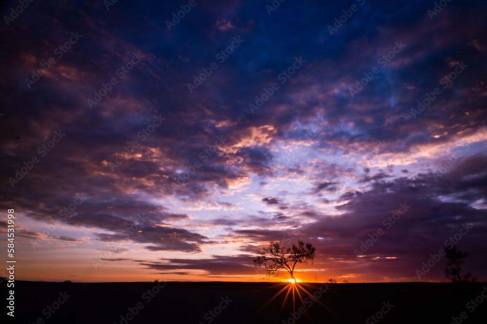 Obraz premium Colourful clouds fill the sky as the sun sets behind the lone tree
