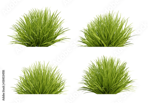 Set of green grass on transparent background, 3d render illustration. photo