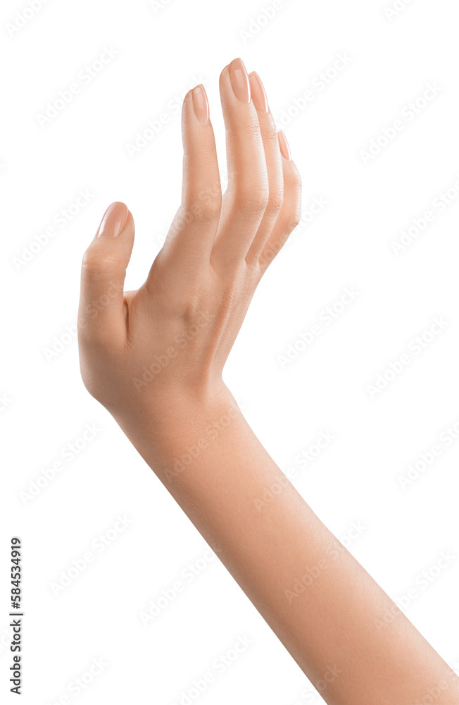 Woman's hand holding a blank space, concept for product or service promotion. Hand exchanging an object, symbolizing exchange or trade. Commerce or business promotion concept Woman's hand holding a blank space, concept for product or service promotion. Hand exchanging an object, symbolizing exchange or trade. Commerce or business promotion concept