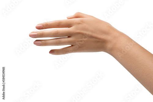 Elegant female hand, perfect skin, manicure. Hand hold. Sign and gesture. Photograph of a woman's hand, emphasizing community and togetherness.