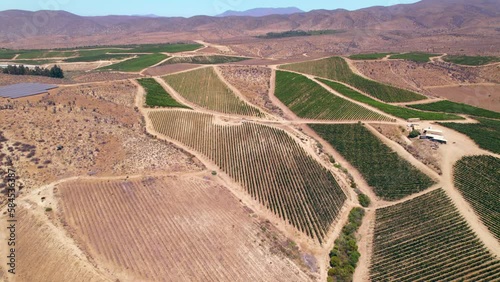 Aerial rotating shot of a small solar field with a large vineyard in Fray Jorge, Limari Valley, Chile photo