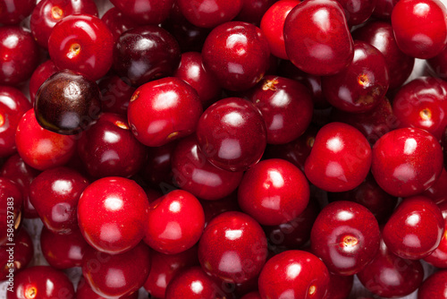 Bunch of fresh juicy cherries in close up photo