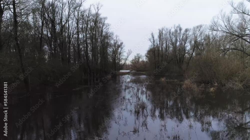 Drone shot over swamp like water with trees and reed. Drone shot over swamp like water with trees and reed.