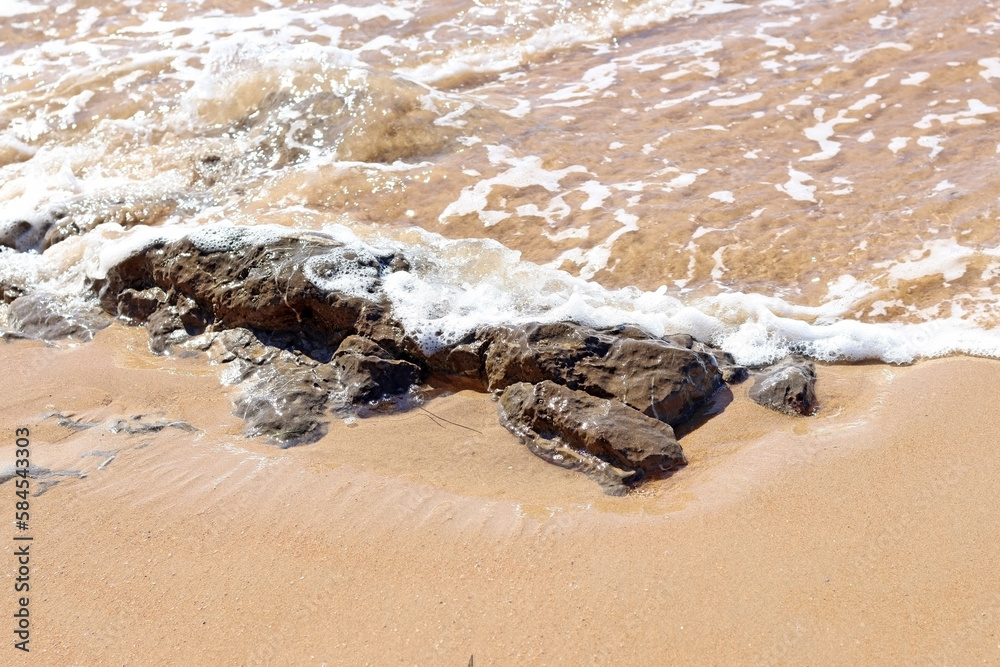 Some rocks on the shore of a beach in summer Some rocks on the shore of a beach in summer