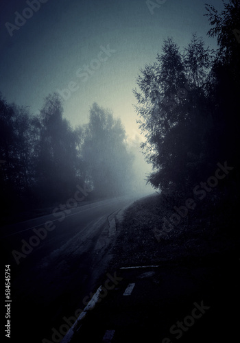 Night foggy forest road