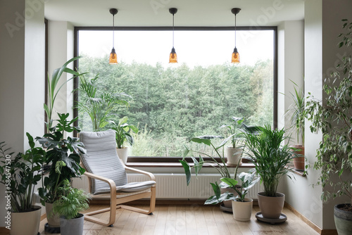 Urban jungle apartment. Grey armchair near big panoramic window, indoor plants, monstera, palm trees. Biophilia design. Cozy tropical home garden. Eco friendly decor of living room. © jchizhe