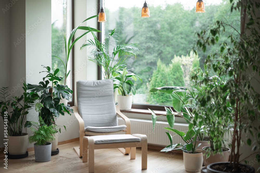 Grey armchair near big panoramic window, indoor plants, monstera, palm trees. Urban jungle apartment. Biophilia design. Cozy tropical home garden. Eco friendly decor of living room.