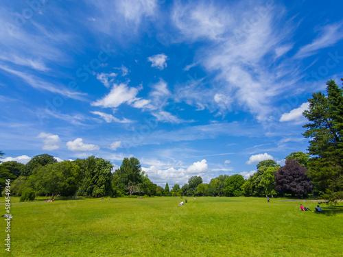 Fototapeta Naklejka Na Ścianę i Meble -  A huge lawn area in a park on a sunny day (Bute Park, Cardiff, Wales, United Kingdom, in summer)