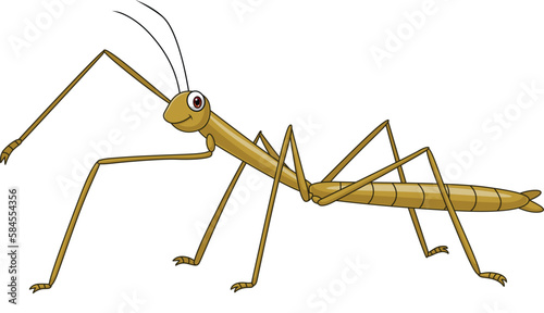 Cartoon stick insect on white background photo
