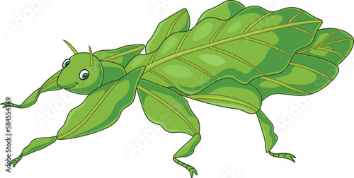 Cute leaf insect on white background
