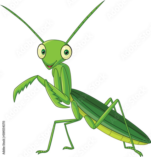 Cartoon green mantis on white background