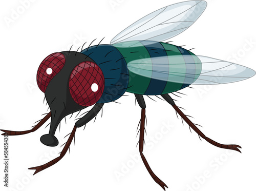 Cartoon house fly on white background