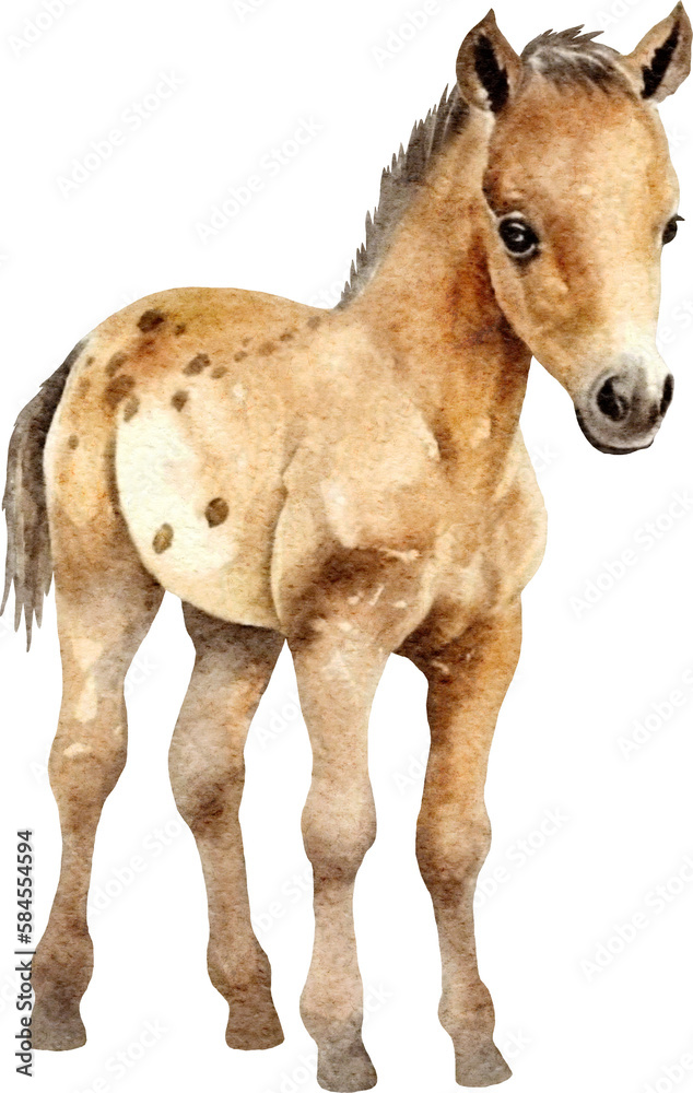 Obraz premium Foal illustration created with Generative AI technology