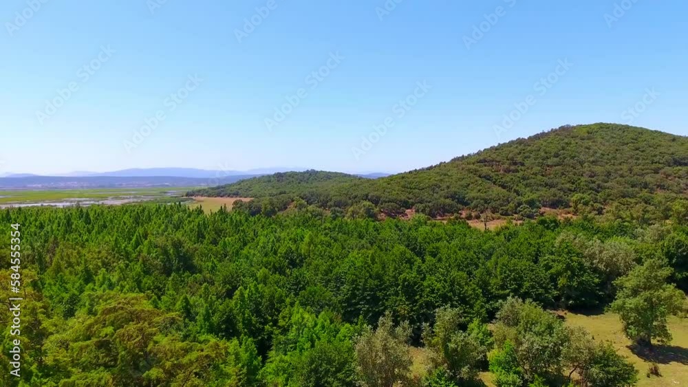 aerial shot of the forest of el kala Algeria aerial shot of the forest of el kala Algeria