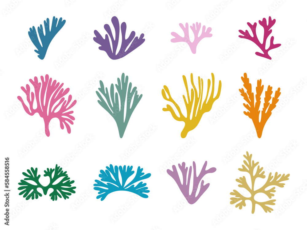 Colored seaweed set. Marine plant elements. Cartoon vector illustration on white background.