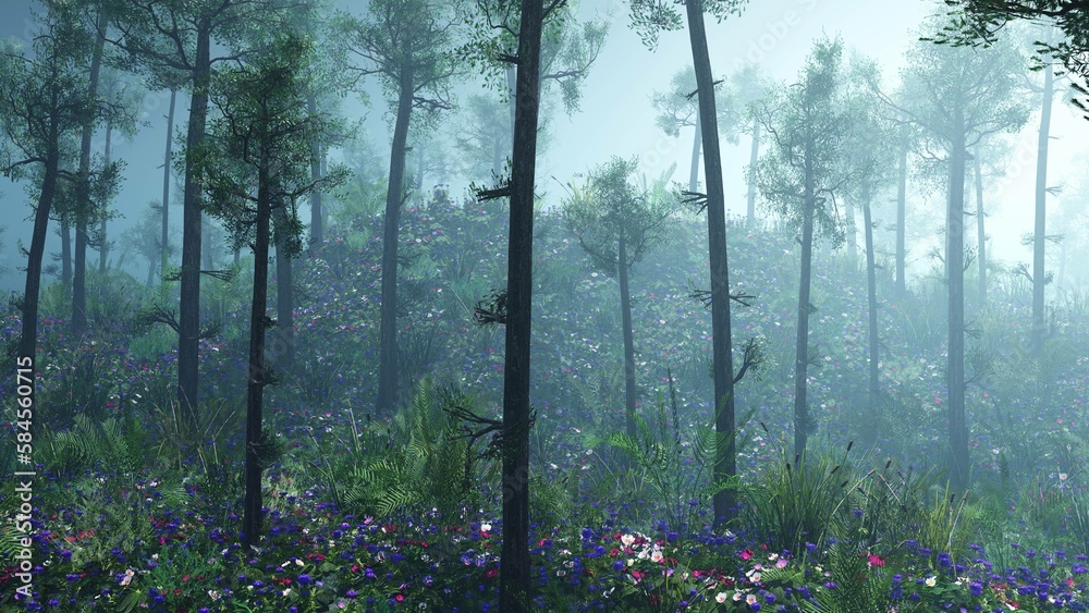 Fototapeta premium Forest in the morning in a fog in the sun, trees in a haze of light, glowing fog among the trees