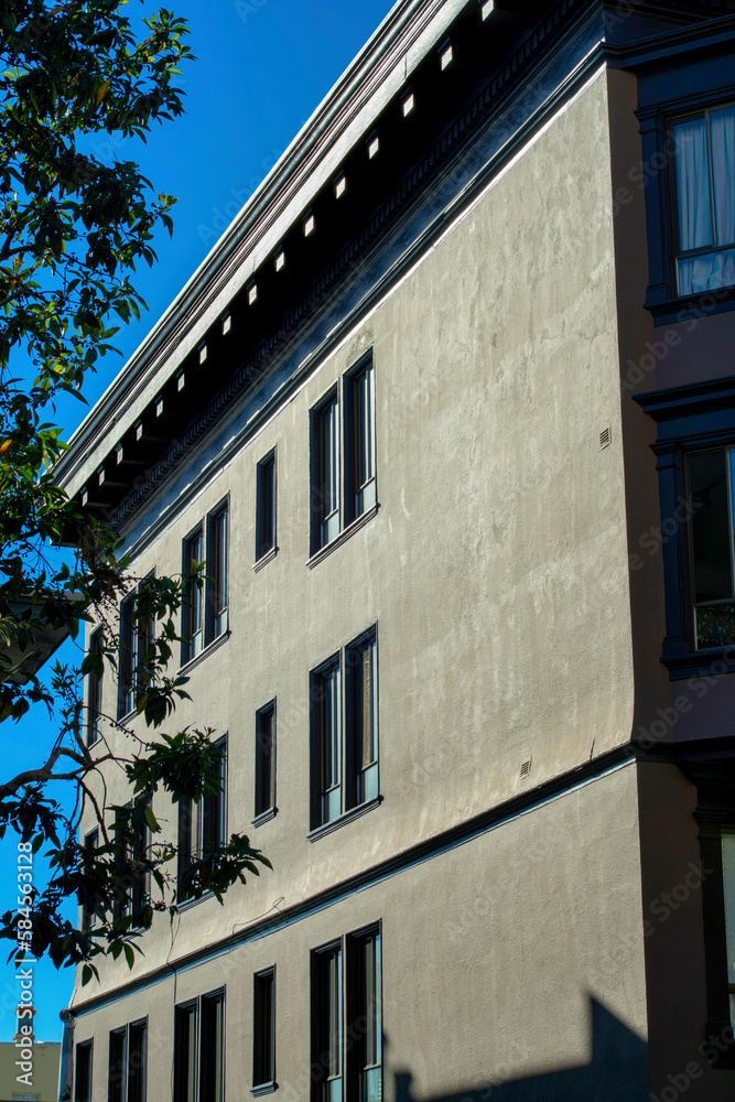 Fototapeta premium Cement stucco building facade in late afternoon dramatic sunlight with gray color and front or back yard tree
