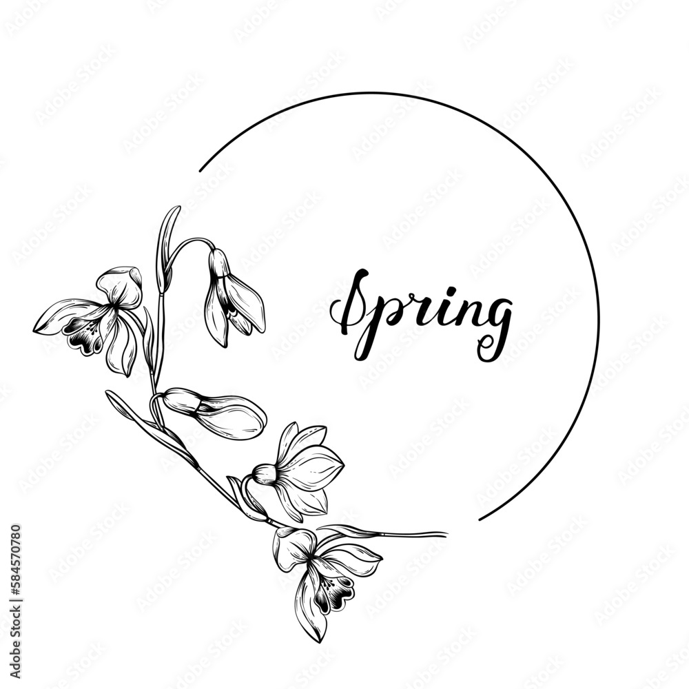 Fototapeta premium First spring flowers. Snowdrops vector graphic illustration. Delicate flowers circle frame for celebration design.