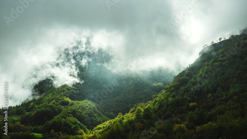 misty morning in the mountains