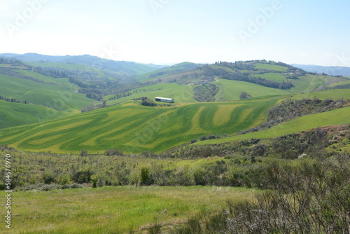 colline sopra a predappio campi di erba tagliati con effetti di varie tonalità di colore