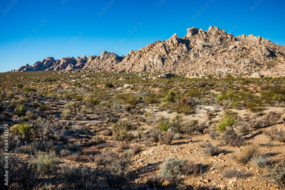 Mountains and Brush Lands at Mojave National Preserve Mountains and Brush Lands at Mojave National Preserve
