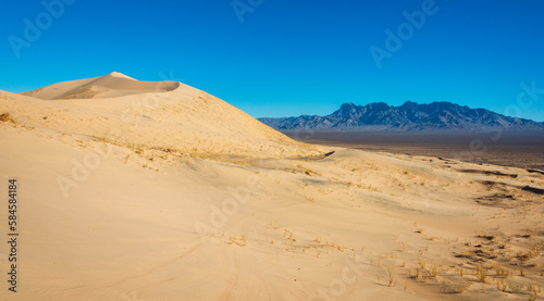 Arid Desert Dunes at Mojave National Preserve