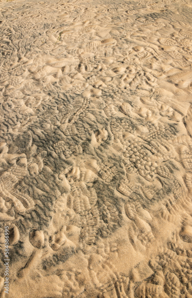 Mojave National Preserve