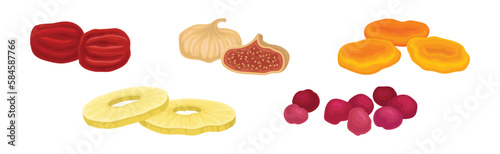 Sun Dried Fruit as Food with Sweet Taste and Nutritive Value Vector Set