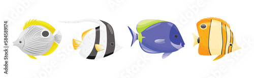 Exotic Tropical Fish of Different Shapes and Colors Vector Set