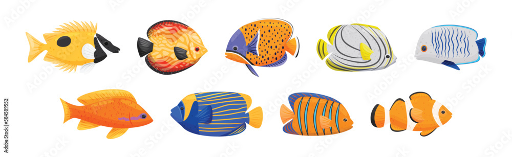 Fototapeta premium Exotic Tropical Fish of Different Shapes and Colors Vector Set