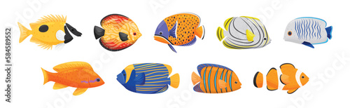 Exotic Tropical Fish of Different Shapes and Colors Vector Set