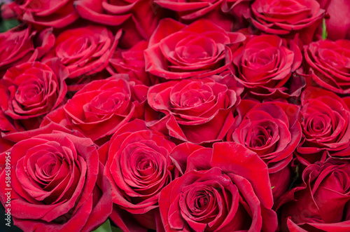 Red velvet roses are a luxurious romantic bouquet.