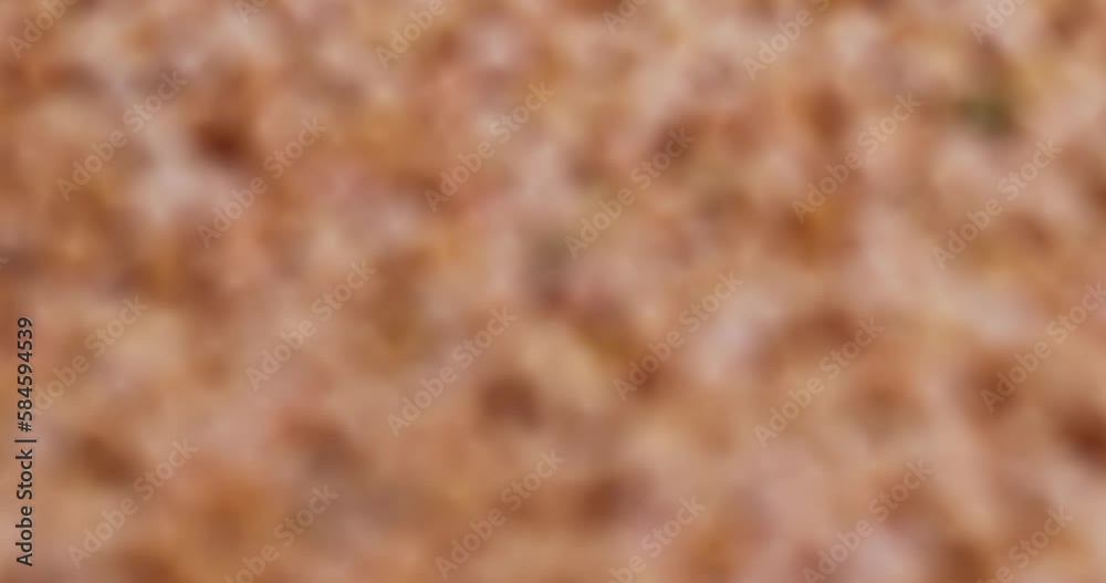 slowly changing abstract orange background, abstract background from unfocused video shooting of orange objects slowly changing abstract orange background, abstract background from unfocused video shooting of orange objects